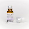 Antioxidant Facial Serum